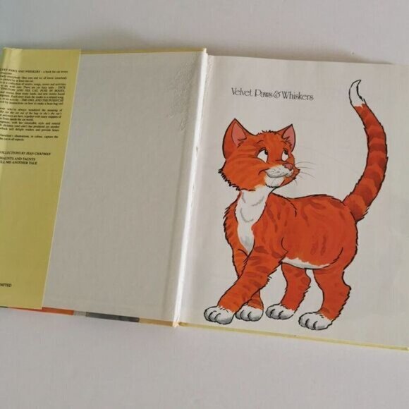 Illustrated Kids Book with Cats Kittens , Nursery Rhymes, Activities Stories - Picture 3 of 9